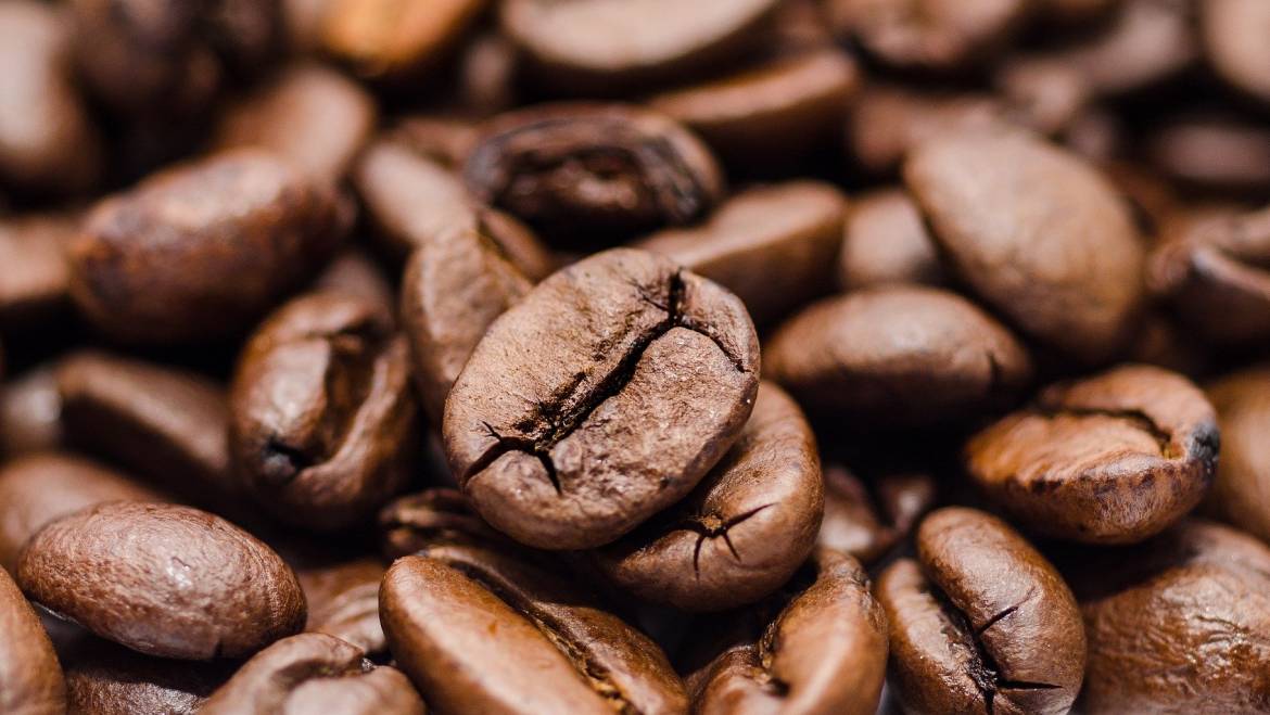 Best Advice For Beginners To Choose Freshly Roasted Coffee Beans